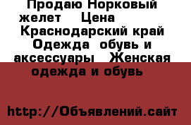 Продаю Норковый желет  › Цена ­ 3 000 - Краснодарский край Одежда, обувь и аксессуары » Женская одежда и обувь   